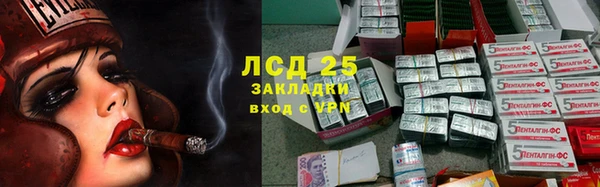 ГАЛЛЮЦИНОГЕННЫЕ ГРИБЫ Алексин