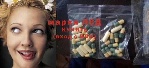 ГАЛЛЮЦИНОГЕННЫЕ ГРИБЫ Алексин
