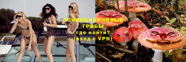 ГАЛЛЮЦИНОГЕННЫЕ ГРИБЫ Алексин