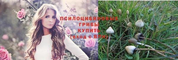 ГАЛЛЮЦИНОГЕННЫЕ ГРИБЫ Алексин