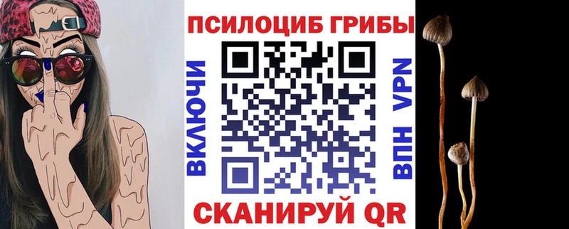 hydra   Пенза  Псилоцибиновые грибы Psilocybe  купить закладку 