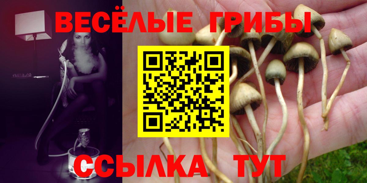 Галлюциногенные грибы Magic Shrooms  Вход с VPN  Пенза 