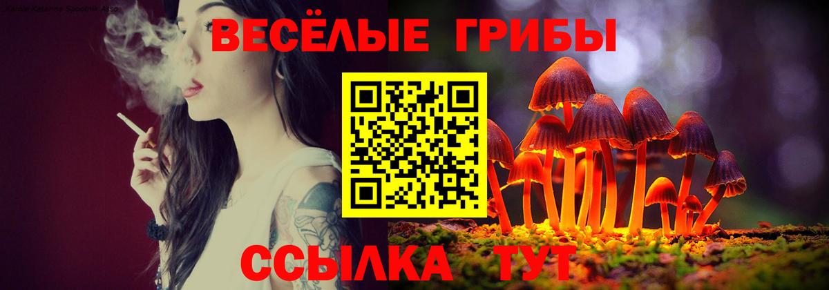 Галлюциногенные грибы прущие грибы Пенза