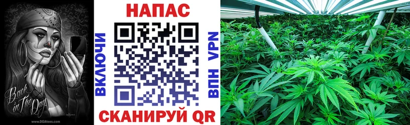 магазин продажи   Пенза  Бошки Шишки AK-47 